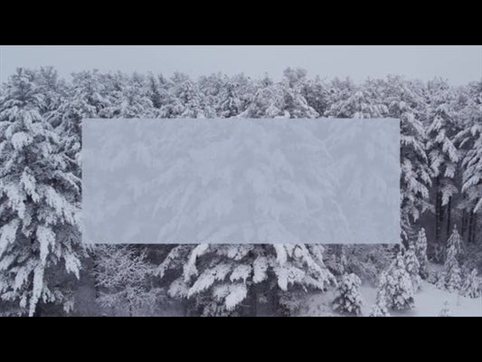 Winter Woods Drift Rectangle