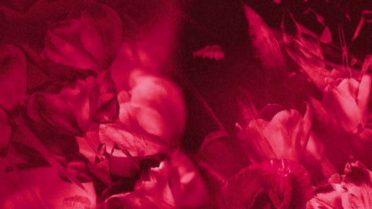 Hyper Bloom 9