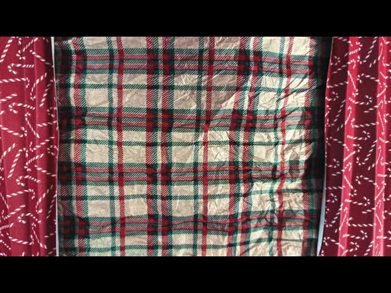 Christmas Stop Motion Dust 6