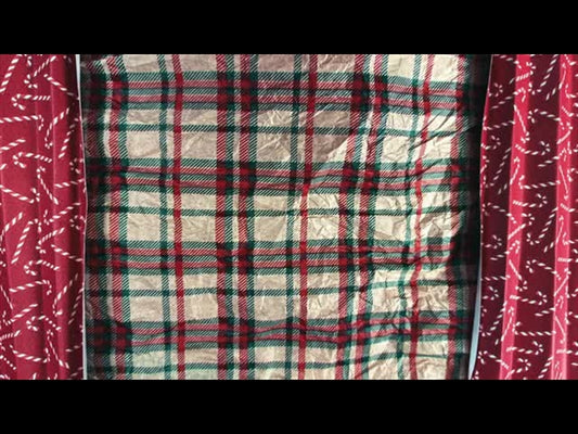 Christmas Stop Motion Dust 6