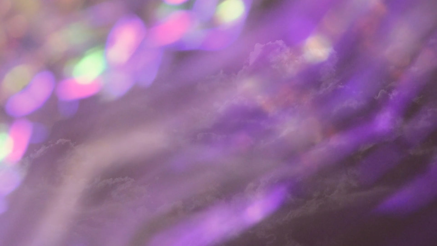 Refracted Nature Still 05