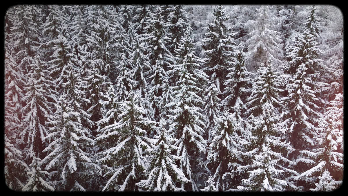 Retro Winter 09
