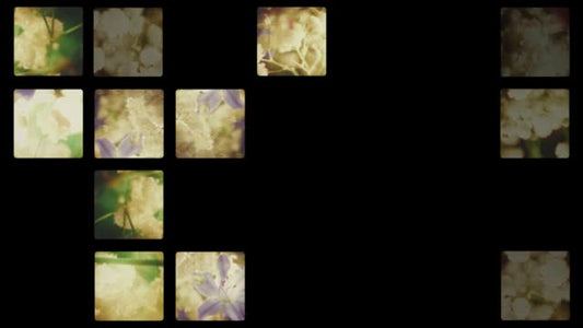Bloom Again 09