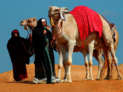 Magi In Desert 10