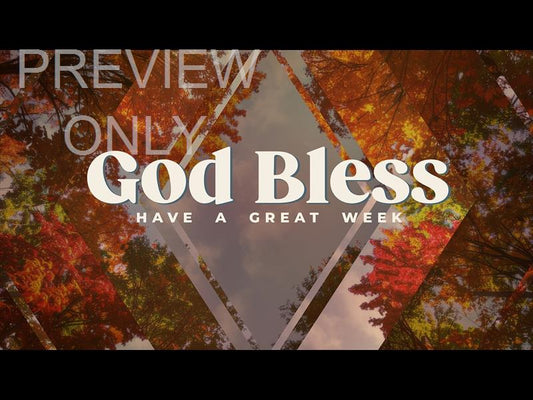 Fall Trees Close Still