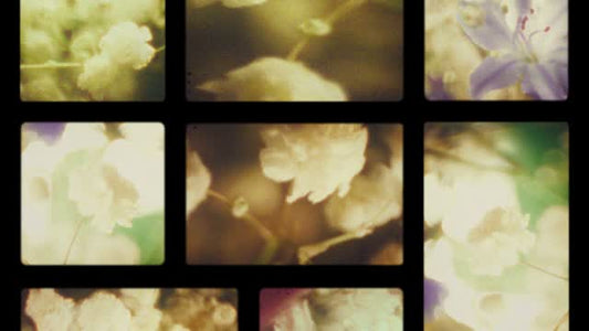 Bloom Again 04