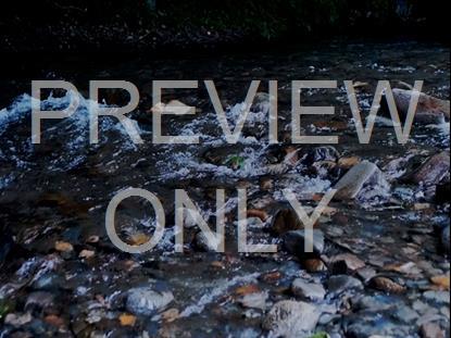 River Wild 17 Hd Still