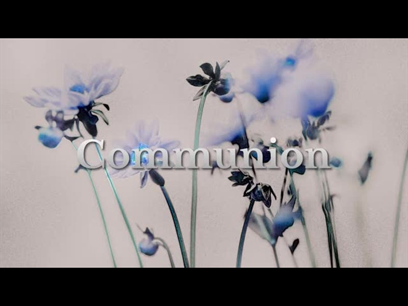 Floral Line Glow Communion