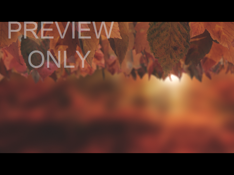 Harvest Still 05