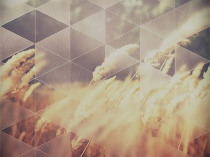 Opaque Triangles Wheat