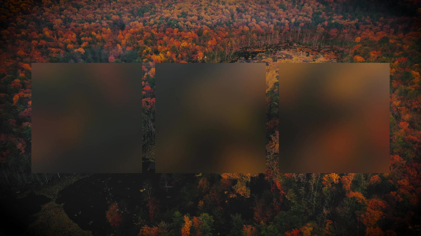 Autumn Colors Burst Alt