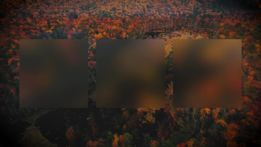 Autumn Colors Burst Alt