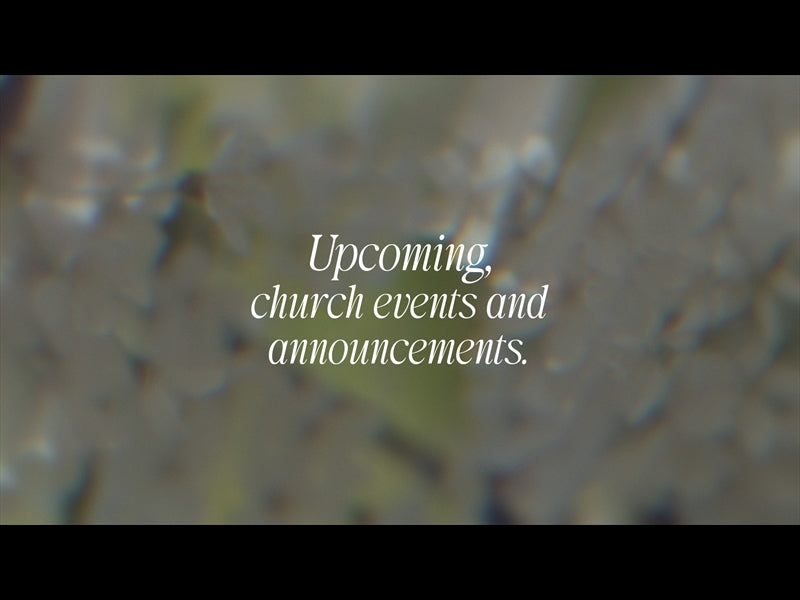 Daydream Upcoming