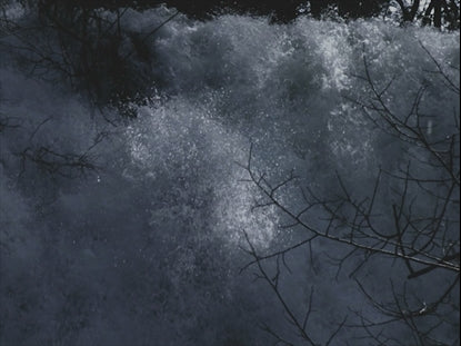River Wild 1