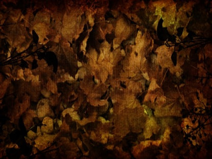 Burlap Leaves