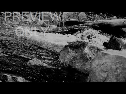 Black And White River 2 Still