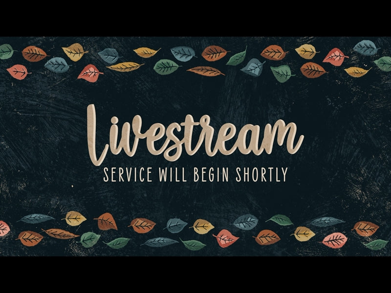 Happy Leaves Livestream