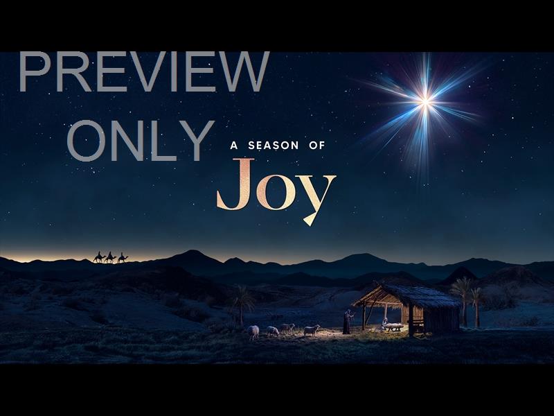 Christmas Promise Joy Still