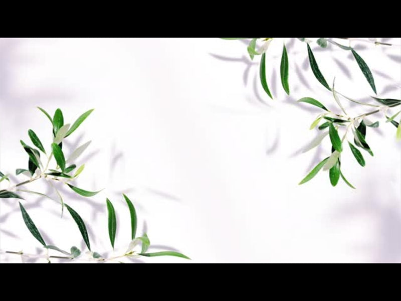 Fruit Of The Spirit 2