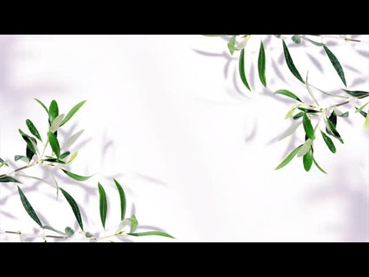Fruit Of The Spirit 2