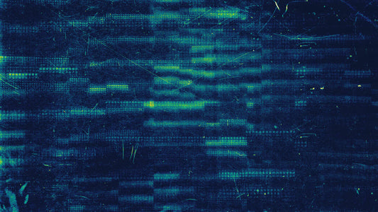 Digital Dust 10