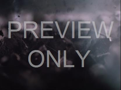 Resurrection 43