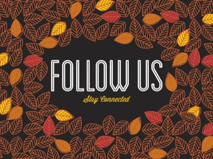 Fall Leaves Follow Us
