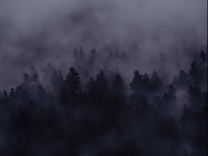 Mood Tint 15 Plain