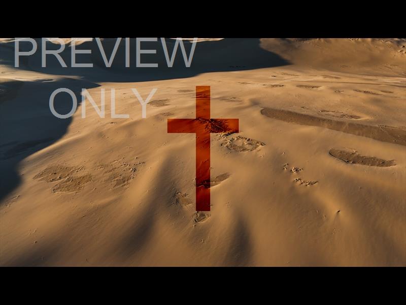 The Dunes Back To Life Title Graphic 3