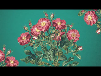 Floral Burst 2