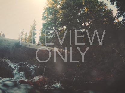 Mountain Hike Stream