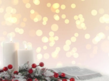 White Christmas 04