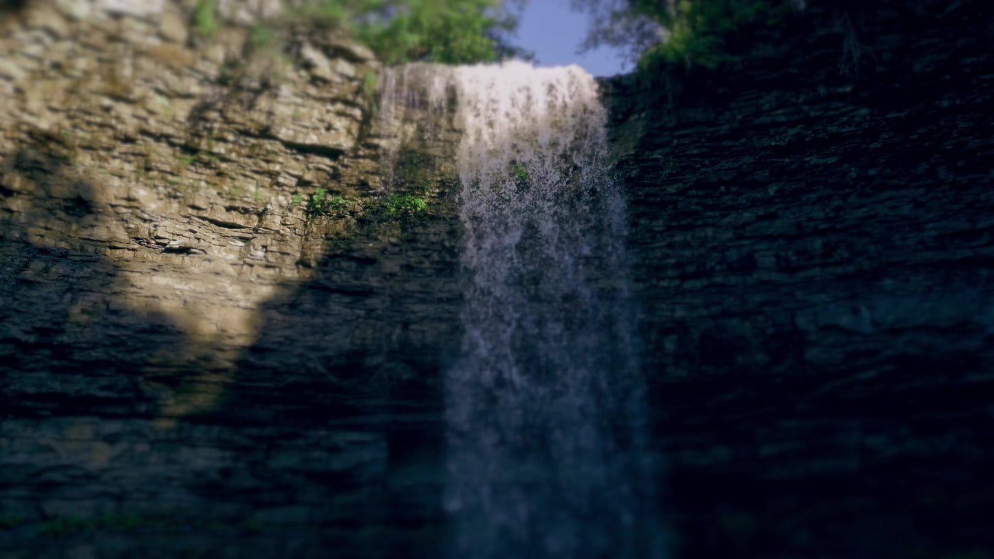 Nature's Force 5