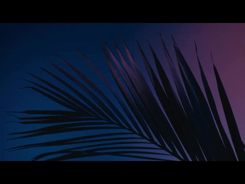 Cinematic Palms Loop 2