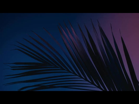 Cinematic Palms Loop 2