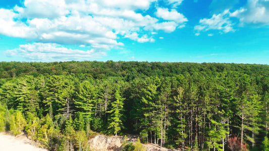 Pictured Rocks 2 Still