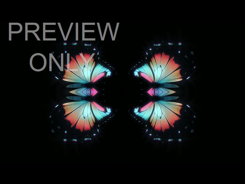 Butterflies 10 Still