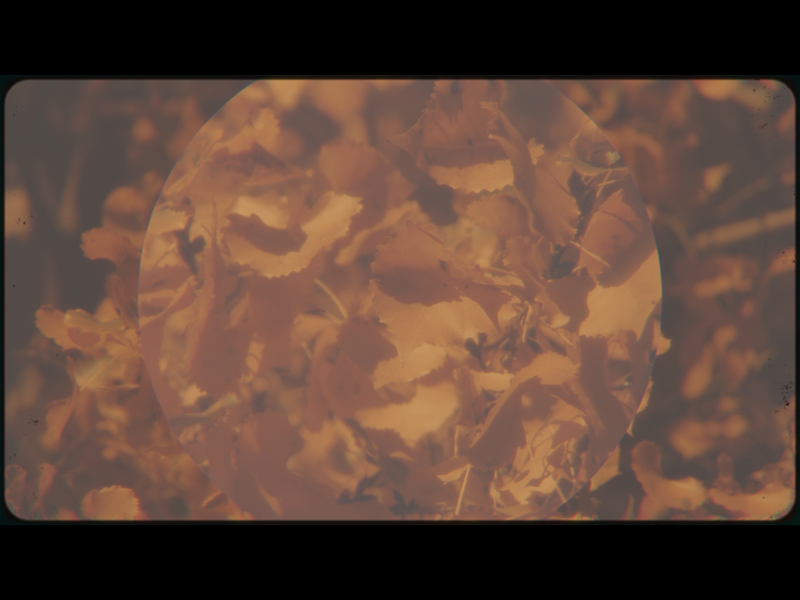 Vintage Fall Loop 05