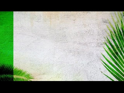 Palm Sunday Vol 1. Motion 02