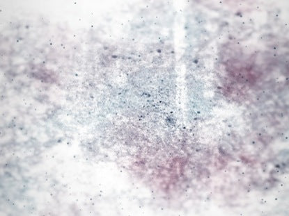 Vinter Vunderland