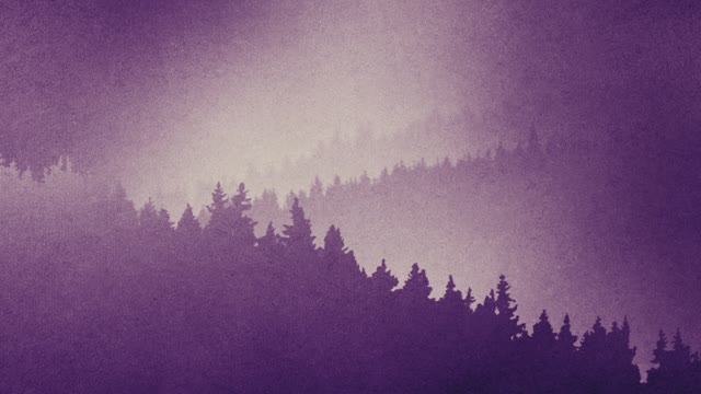 Timberline Loop 06