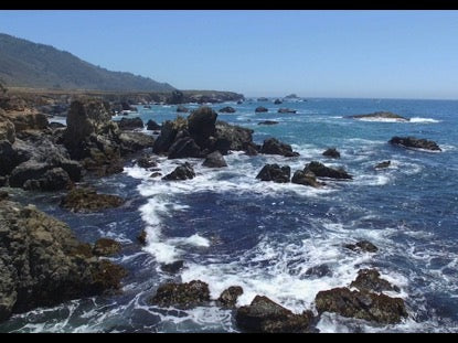 Rocky Shores