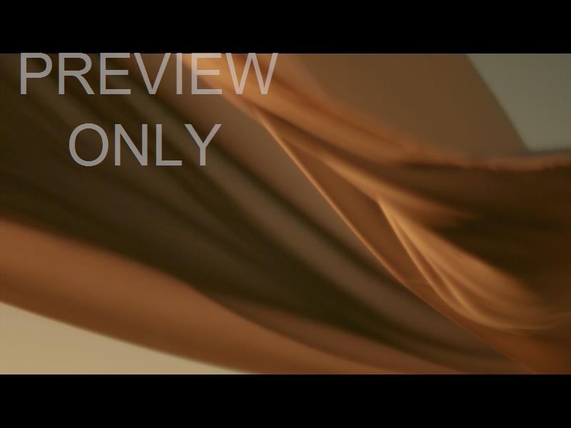 Banner Flow Slide 04