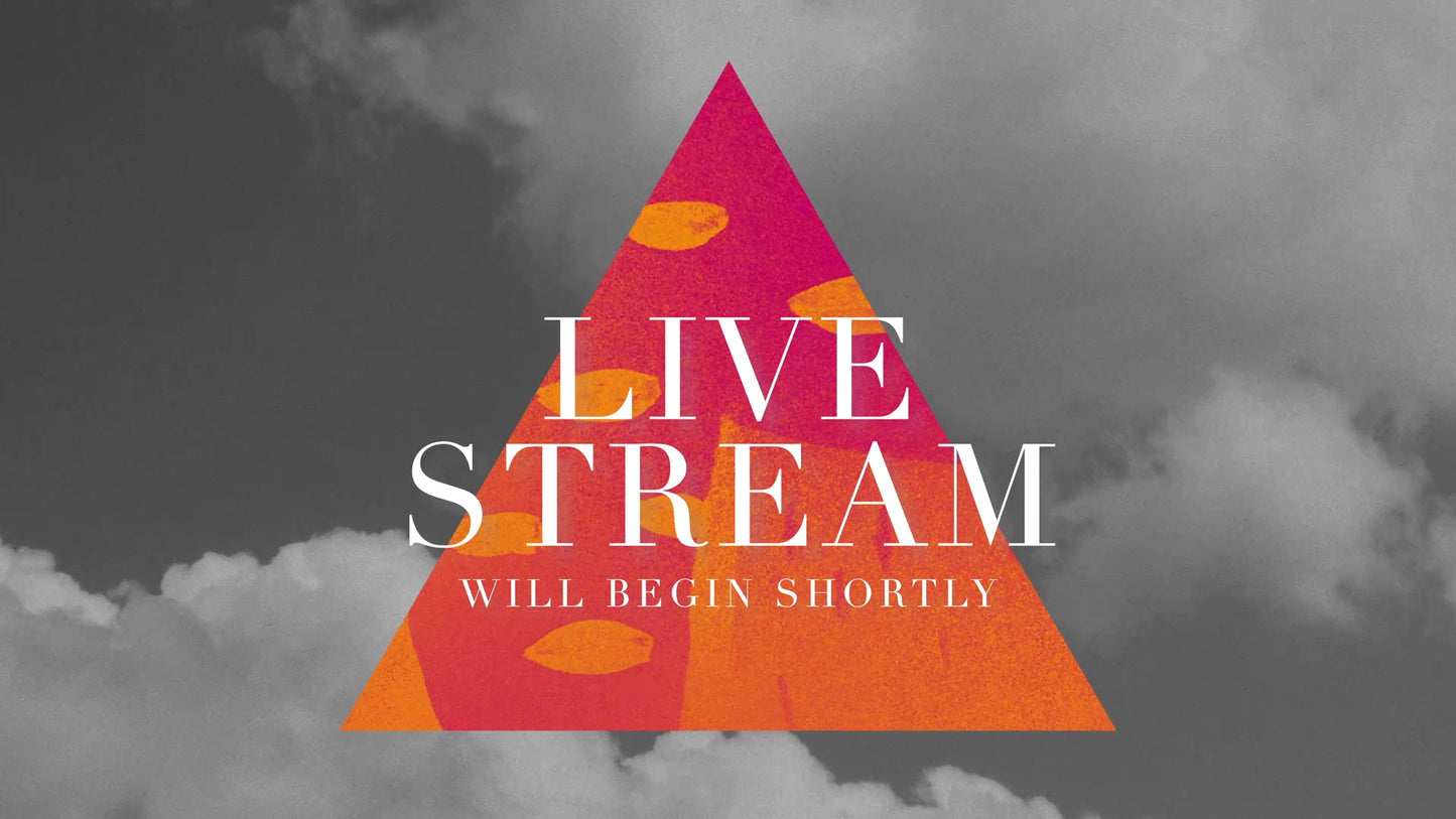 Vibrant  Live Stream