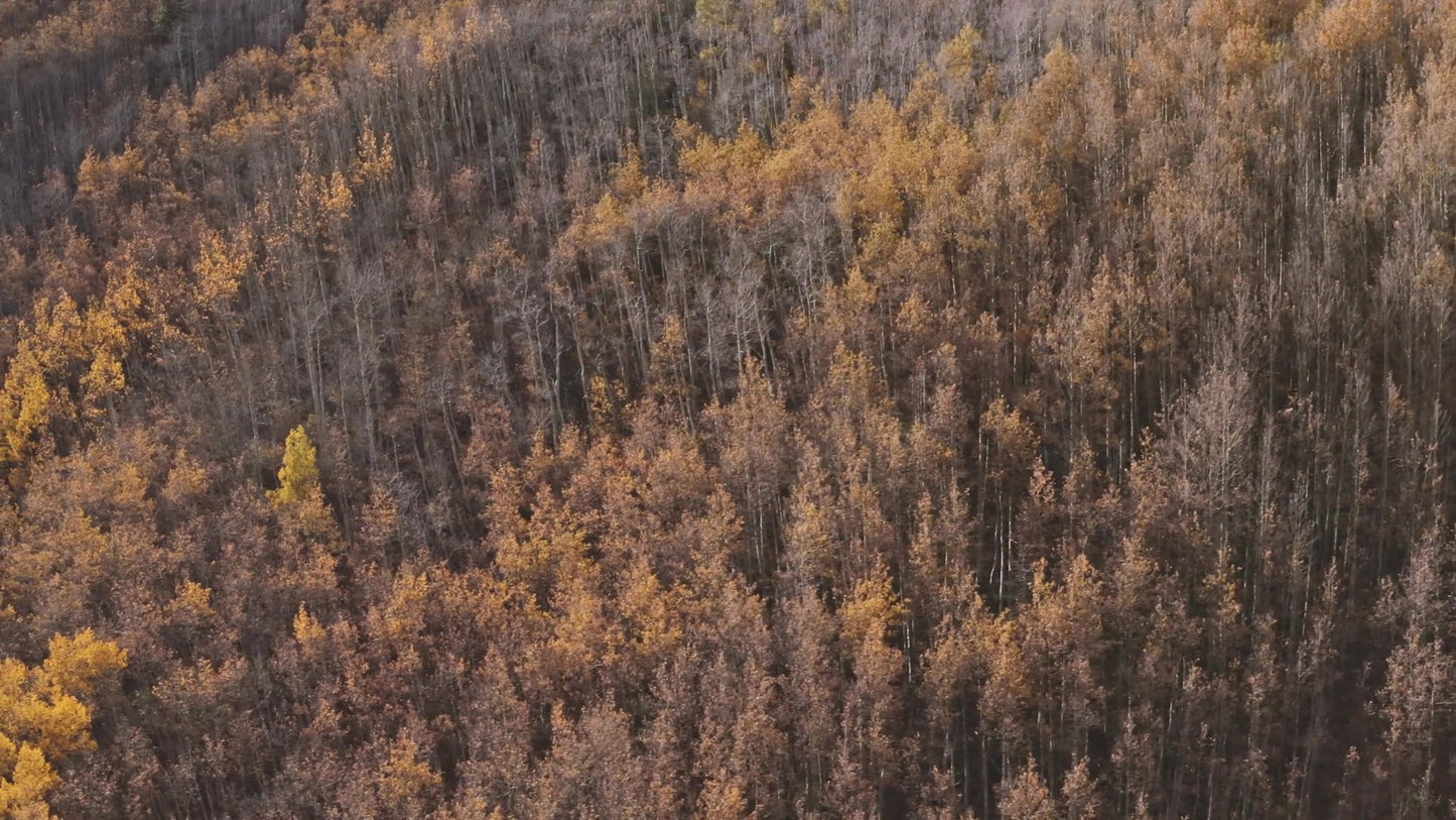 Mountain Sky 11 Still