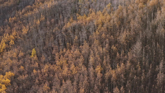 Mountain Sky 11 Still
