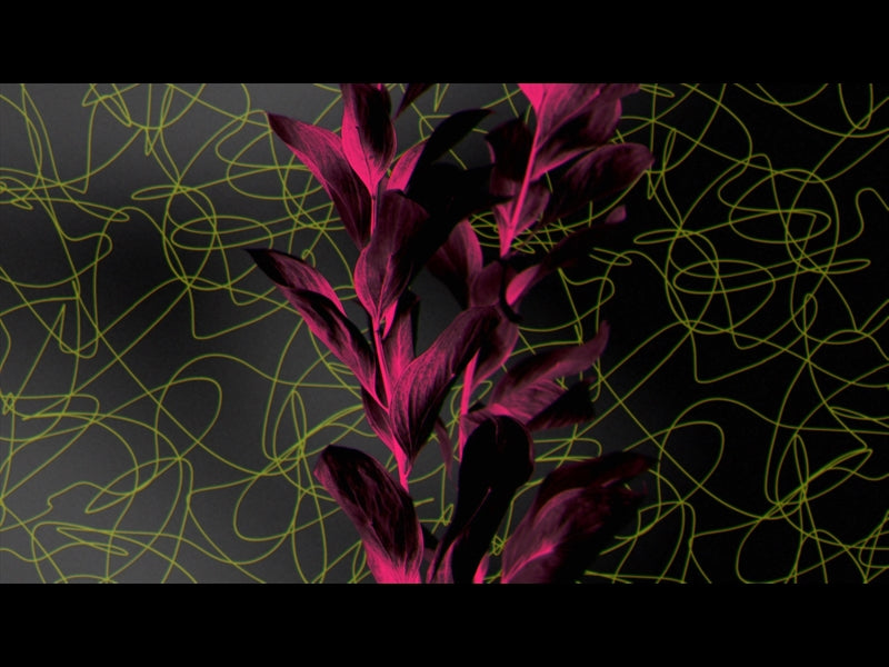 Neon Natro Loop 05