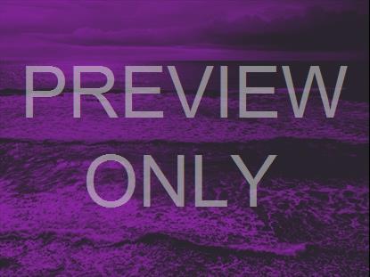 Panoramic Purple Gradient