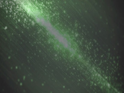 Stardust Green Motion