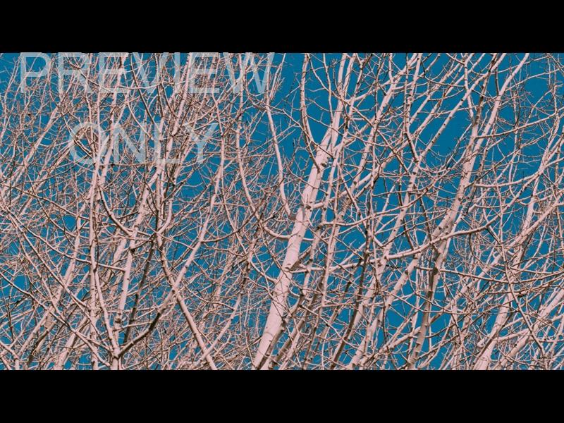 High Heavens Still 03